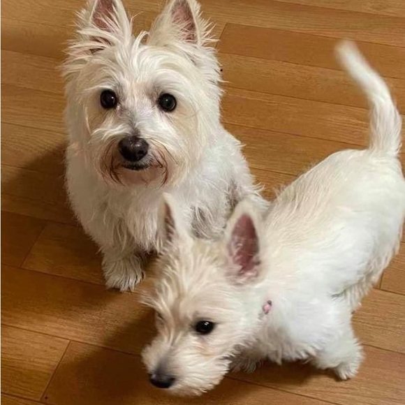 Meet your Posher, Lovada - Picture 8 of 11